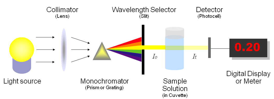 Spectrophotometry course preview